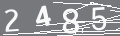capsa